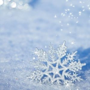 Meet your Posher, Cristy